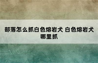 部落怎么抓白色熔岩犬 白色熔岩犬哪里抓